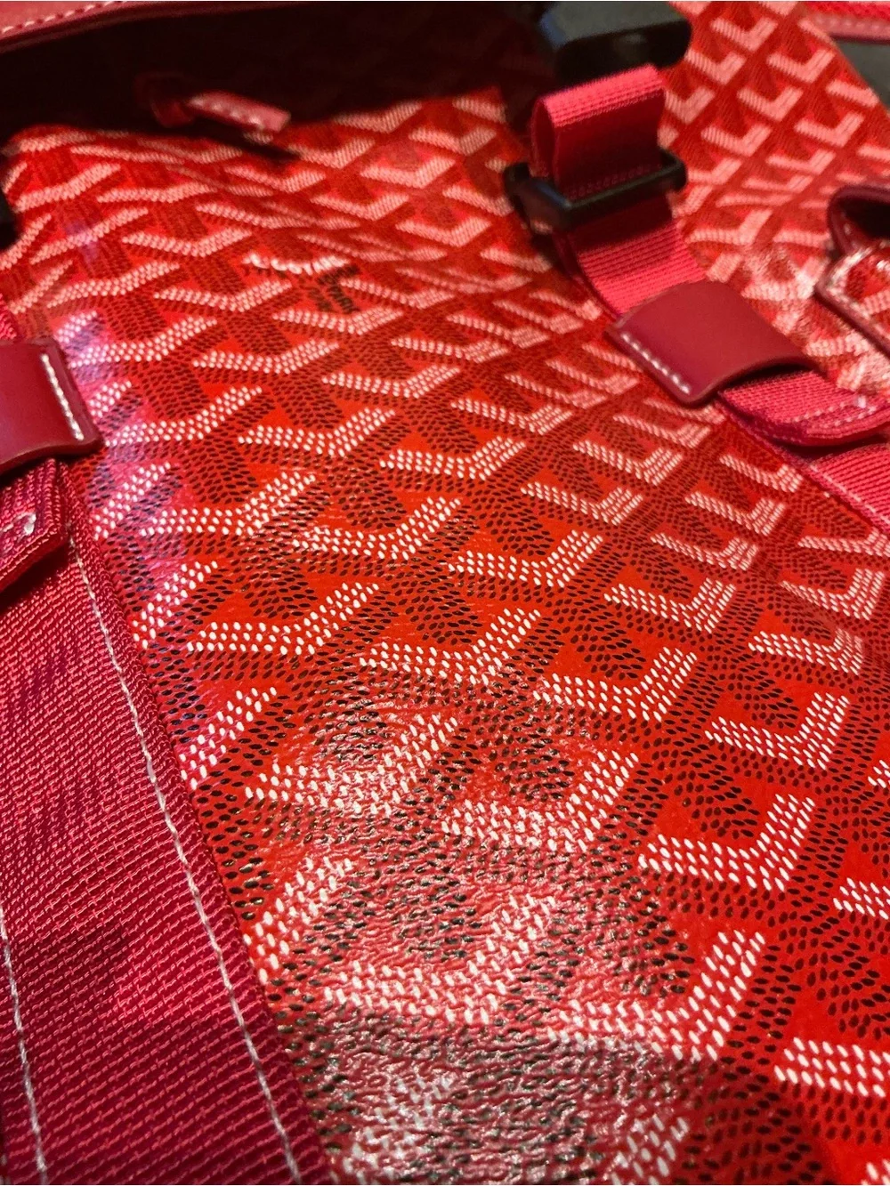 Goyard Red Leather Backpack